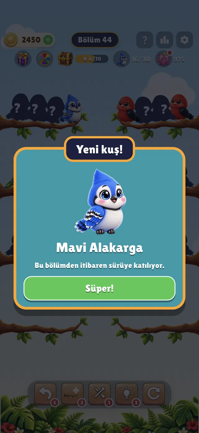 Her 4 bölümde yeni kuş